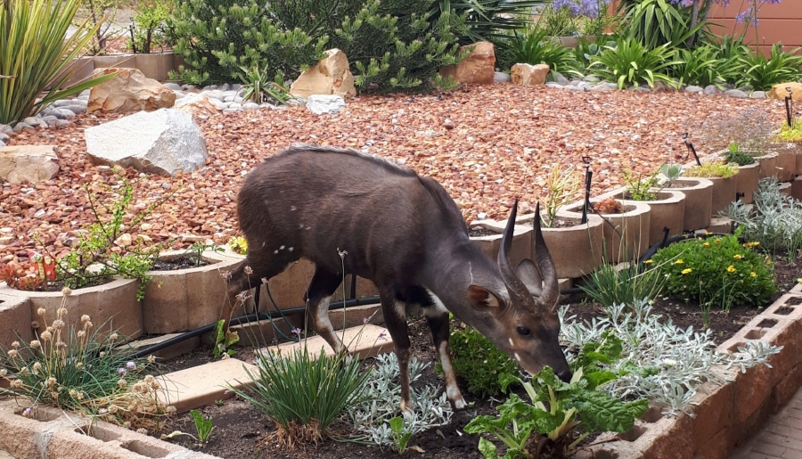 5 Bedroom Property for Sale in Dana Bay Western Cape